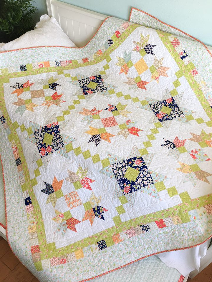 We just love Taunja Kelvington of Carried Away Quilting and her patterns.  New Kit available