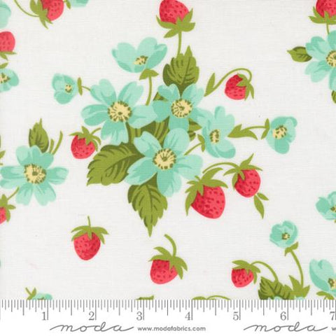 Bloomsberry