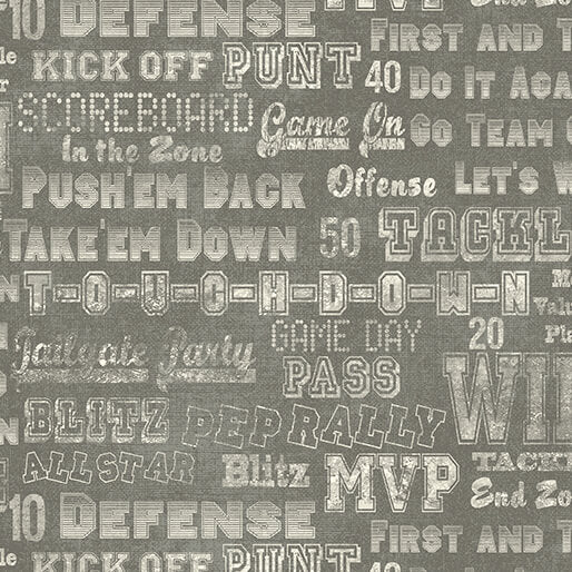 " Touchdown" Cheer Em On Medium Gray by Skyline Studio for Benartex