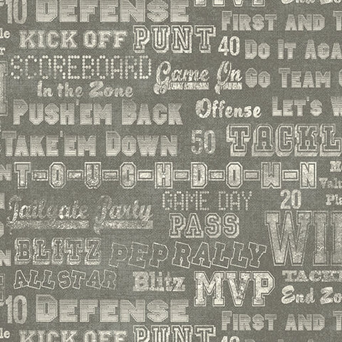 " Touchdown" Cheer Em On Medium Gray by Skyline Studio for Benartex