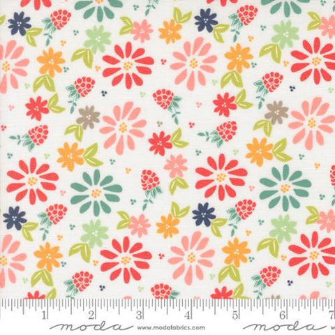 "Raspberry Summer"-Spring Berries Cloud by Sherri & Chelsi for Moda