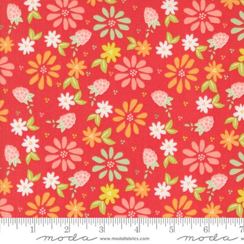 "Raspberry Summer"-Spring Berries Raspberry by Sherri & Chelsi for Moda
