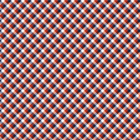 " Front Porch" Red Picnic Gingham  by Allison Harris for Windham Fabrics