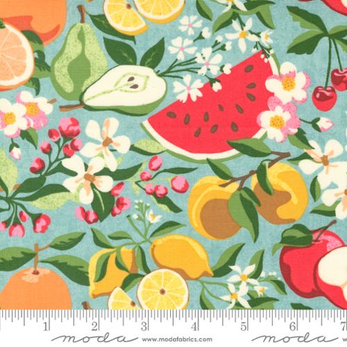 "Fruit Loop"-Jenipapo Aqua by Basic Grey for Moda