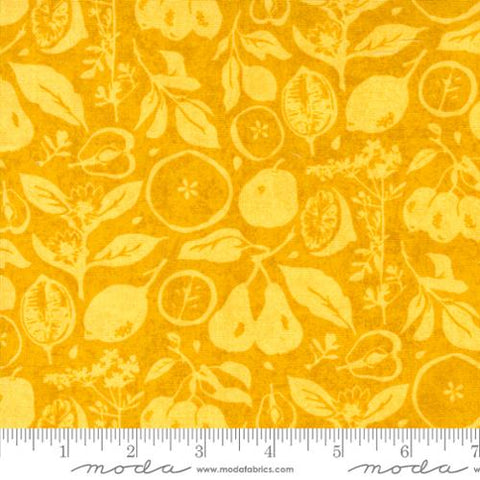 "Fruit Loop"-Sun Dried Novelty Fruit Sunshine by Basic Grey for Moda