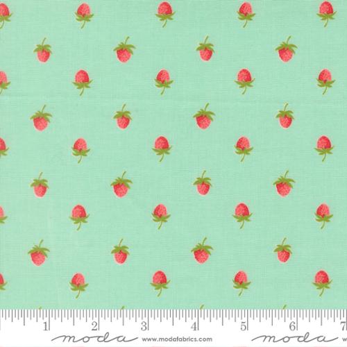 "Bloomsberry" Aqua by Camille Roskelley for Moda