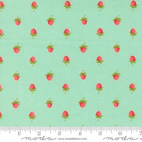 "Bloomsberry" Aqua by Camille Roskelley for Moda