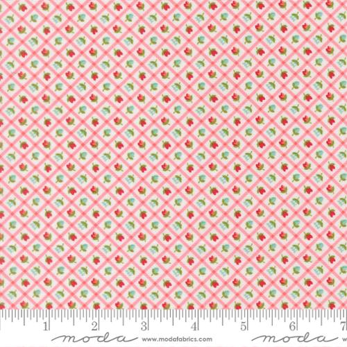 "Bloomsberry" Blush by Camille Roskelley for Moda