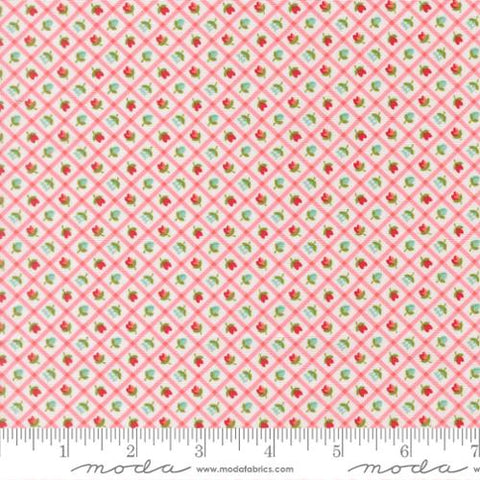 "Bloomsberry" Blush by Camille Roskelley for Moda