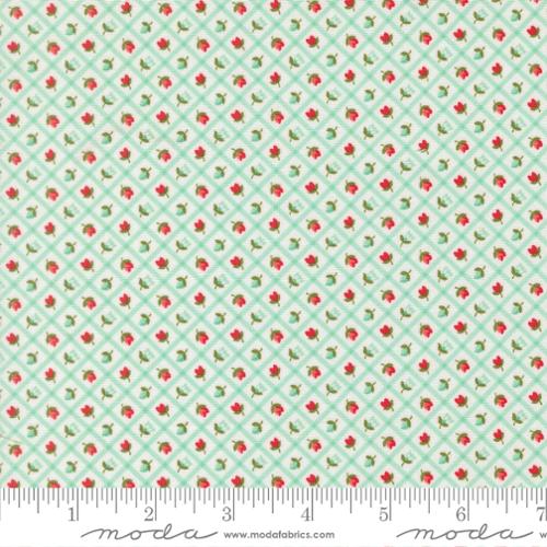 "Bloomsberry" Aqua by Camille Roskelley for Moda