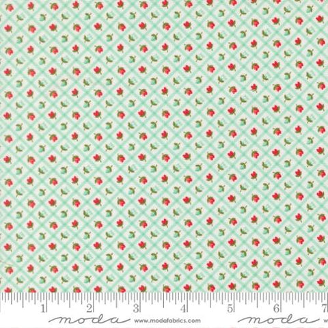 "Bloomsberry" Aqua by Camille Roskelley for Moda