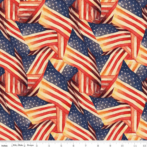 "American Honor" Flags Multi By Vicki Gifford For Riley Blake Designs