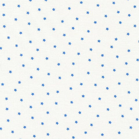 "Flowerhouse: Hints of Prints"-FLHD-21902-4 BLUE for Robert Kaufman