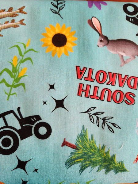 "Quilting Across the Dakotas"- 2023 Teal Toss for Robert Kaufman