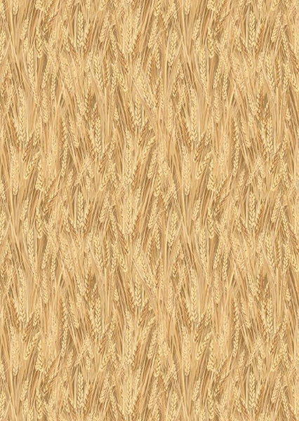 "Quilt Dakota Shop Hop" Wheat Fields - Tan By Benartex For Benartex