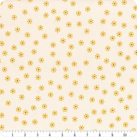 "Denim & Daisy" Daisies Daisy By Lori Holt For Riley Blake