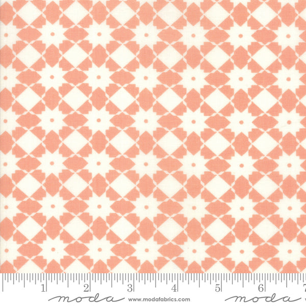 "Garden Variety"-Floral Bright Side Apricot by Lella Boutique for Moda