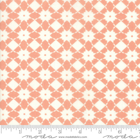 "Garden Variety"-Floral Bright Side Apricot by Lella Boutique for Moda
