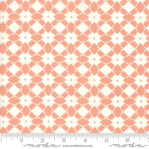 "Garden Variety"-Floral Bright Side Apricot by Lella Boutique for Moda