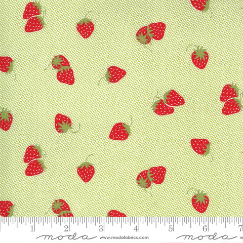 "Sunday Stroll"-Berry Patch Light Green by Bonnie & Camille for Moda