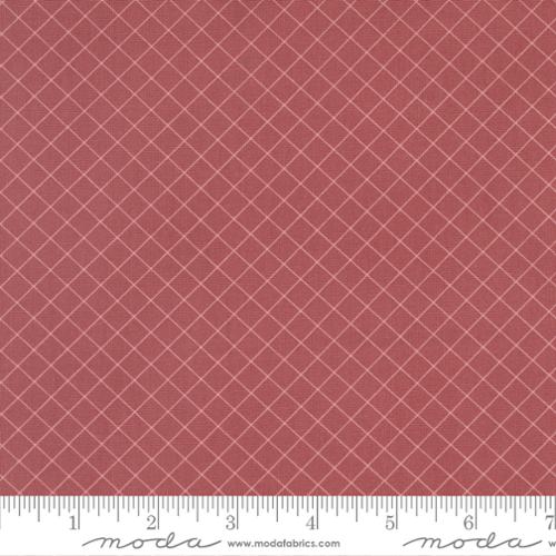 "Sunnyside"-Graph Blush by Camille Roskelley for Moda