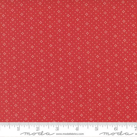 "Fruit Cocktail"-Cherry Eyelet Blenders by Fig Tree Quilts for Moda
