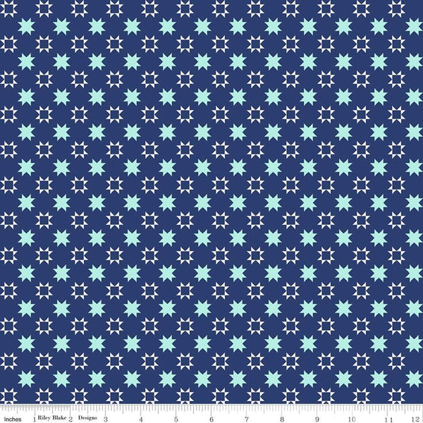 "Quilt Fair" Quilty Stars Navy by Tasha Noel for Riley Blake