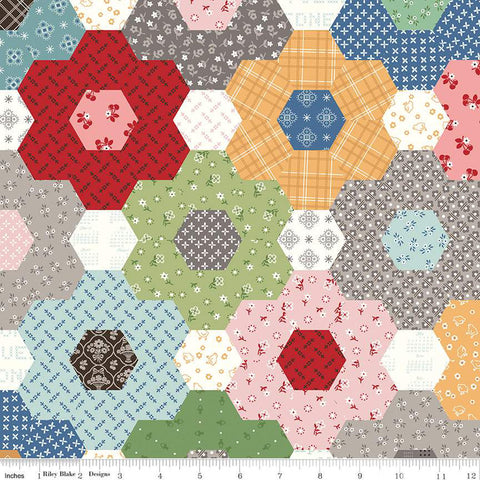 "Calico"- Grandma's Flower Garden Multi by Lori Holt of Bee in My Bonnet for Riley Blake