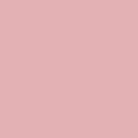 Confetti Cottons Peony for Riley Blake