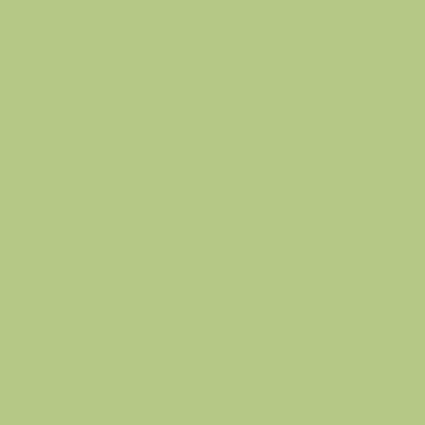 Confetti Cottons Riley Green for Riley Blake